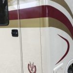 White Horsebox with Gold Graphics